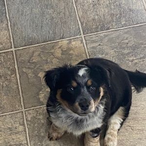 Meet your Posher, Bill